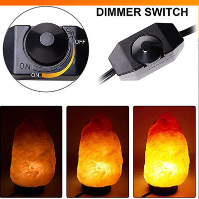 Заменяющая лампа с встроенным переключателем Dimmer Us 2 Prong Ac Usa Power Cord